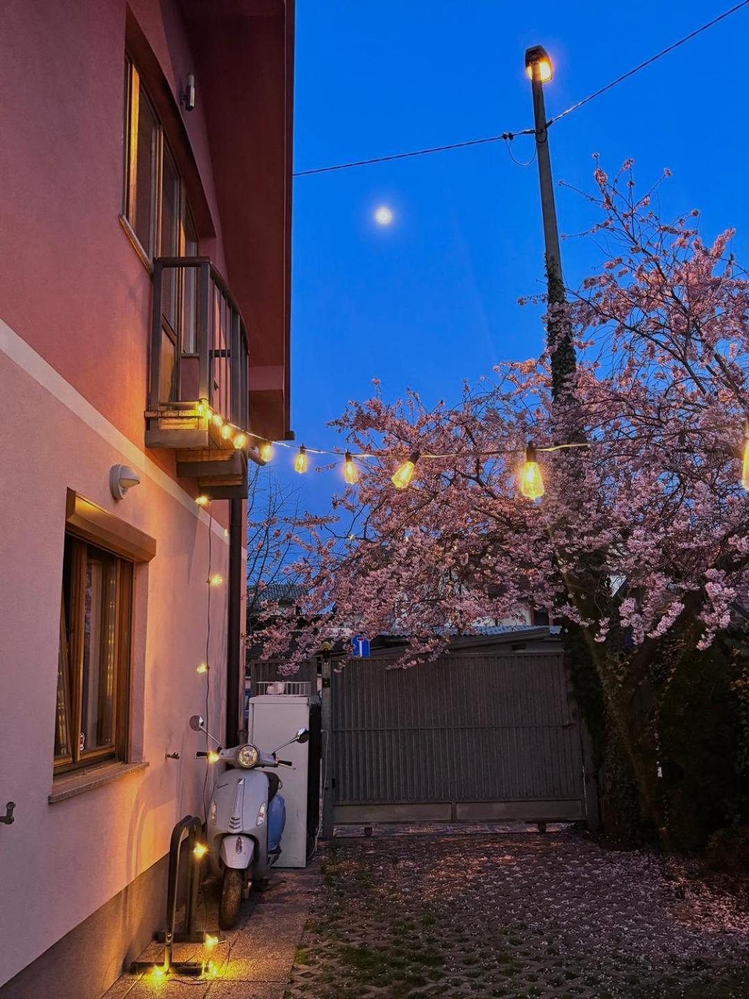 Buzahouse Hostel Ljubljana Exterior foto
